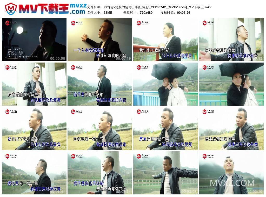 郑竹青-复发的情毒_国语_流行_YF200742